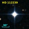 HD 112239