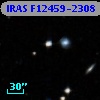 IRAS F12459-2308