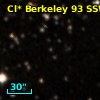 Cl* Berkeley   93   SSWZ     134