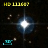 HD 111607
