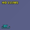 HD 111981