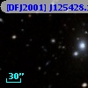 [DFJ2001] J125428.1-290042