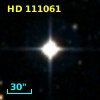 HD 111061