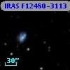 IRAS F12480-3113