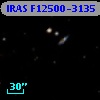 IRAS F12500-3135