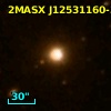 2MASX J12531160-3210252