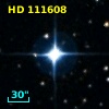 HD 111608