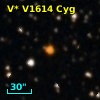 V* V1614 Cyg