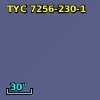 TYC 7256-230-1