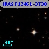 IRAS F12461-3730