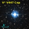 V* V447 Cep
