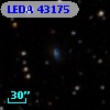 LEDA   43175