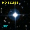 HD 111855