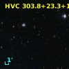 HVC 303.8+23.3+110