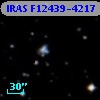 IRAS F12439-4217