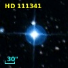 HD 111341