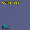 CD-43  7919