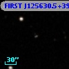 FIRST J125630.5+395935