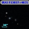 IRAS F13037+4025