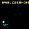 FIRST J125635.6+365003