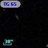 TG  65