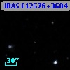 IRAS F12578+3604