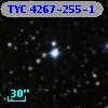 TYC 4267-255-1