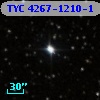 TYC 4267-1210-1
