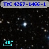 TYC 4267-1466-1