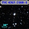 TYC 4267-2160-1