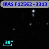 IRAS F12562+3313