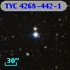 TYC 4268-442-1