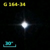 G 164-34