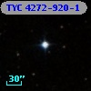 TYC 4272-920-1