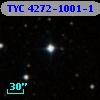 TYC 4272-1001-1