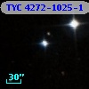 TYC 4272-1025-1