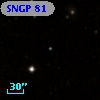 SNGP    81