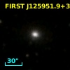 7C 1257+3137