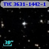 TYC 3631-1442-1
