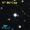 V* BU Cep