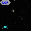 NGPFG 31023
