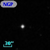 NGPFG 28665