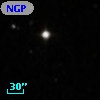 NGPFG 28464