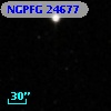 NGPFG 24677