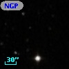 NGPFG 28433