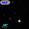 NGPFG 28413