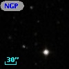 NGPFG 28412
