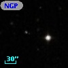 NGPFG 28417