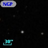 NGPFG 28481