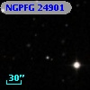 NGPFG 24901